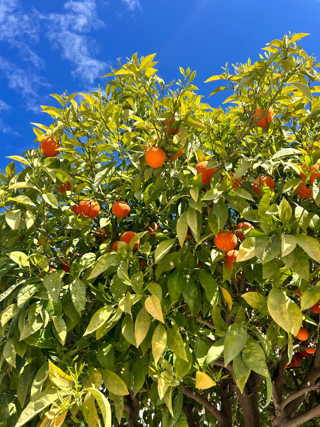 Our Favourite Hidden Gems in&nbsp;Europe