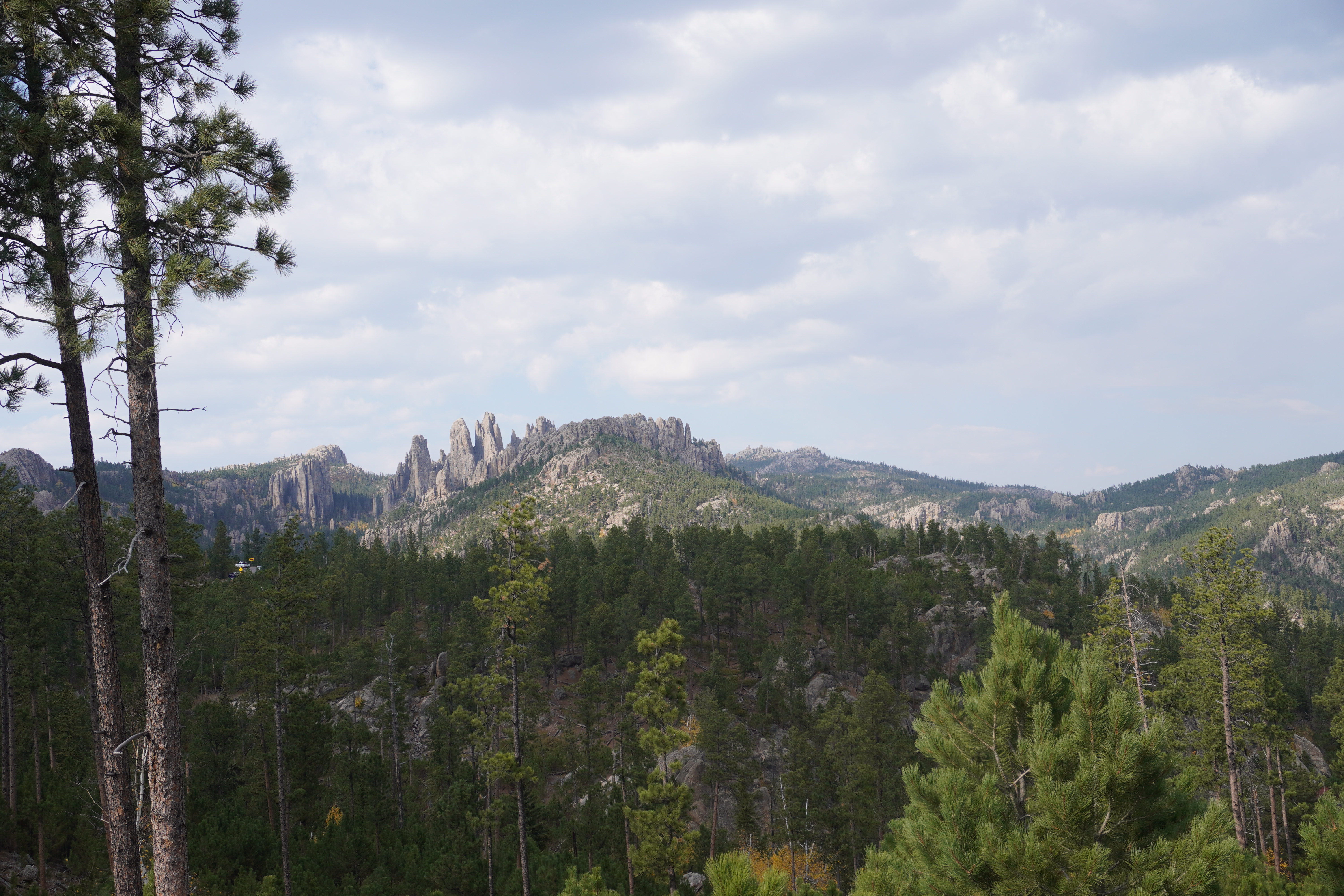 Fall trees and the Needles Highway. The best way to welcome the Fall in.