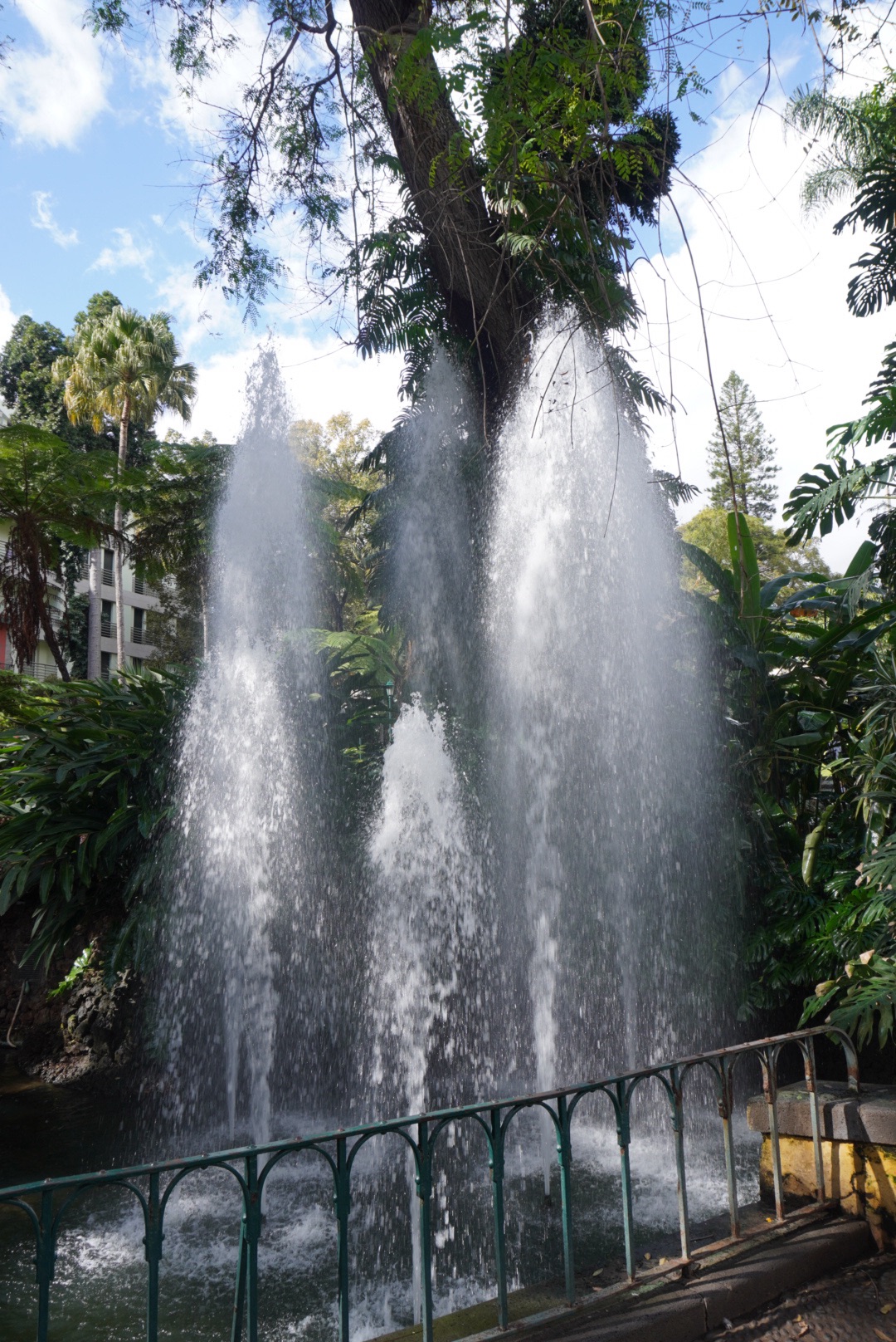 dsc02934-1