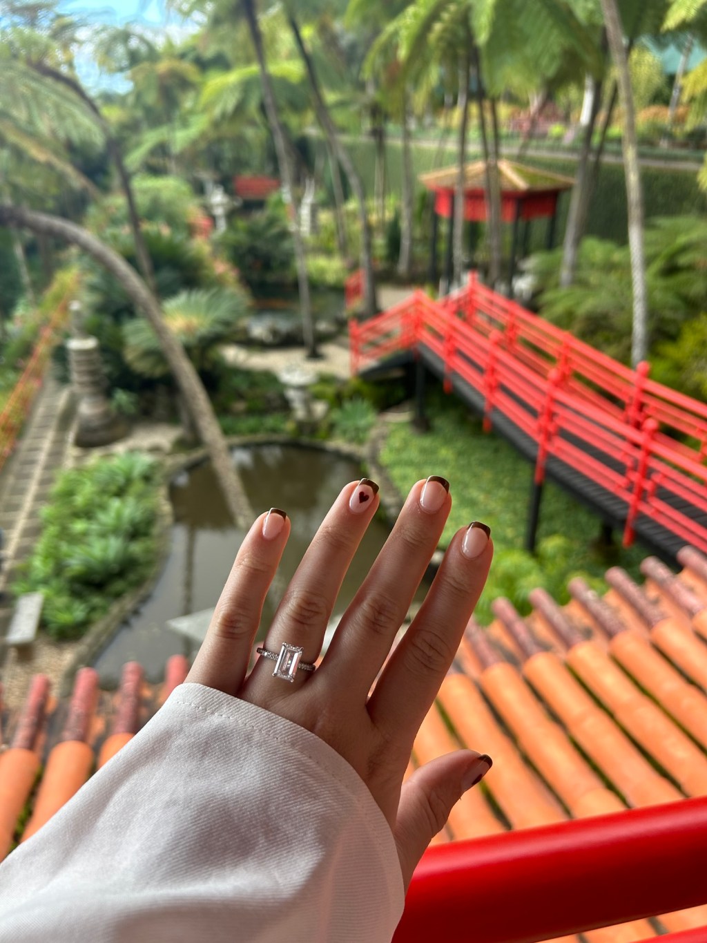 Planning Forever